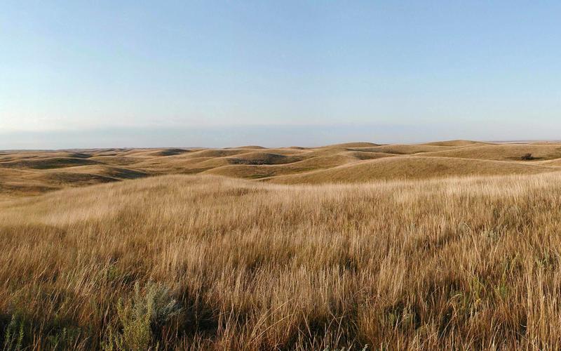 Preventing greenhouse gas pollution means protecting grasslands in