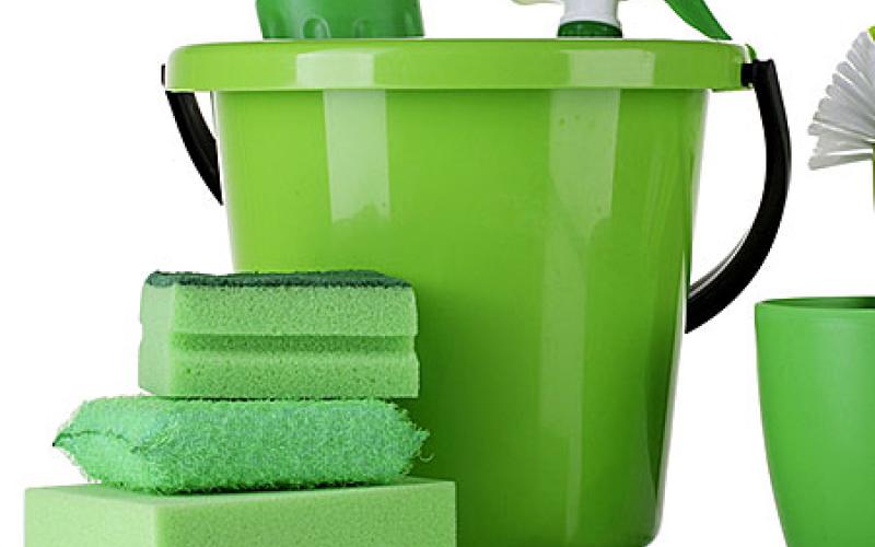 Why go green? A look into motives for buying green products | Yale